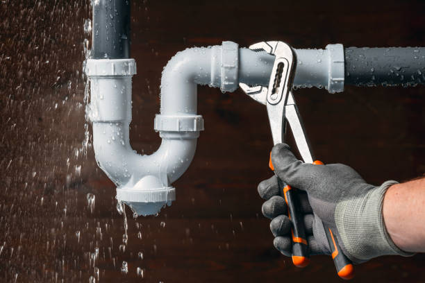 Professional Emergency Plumber technician working in Loami, IL